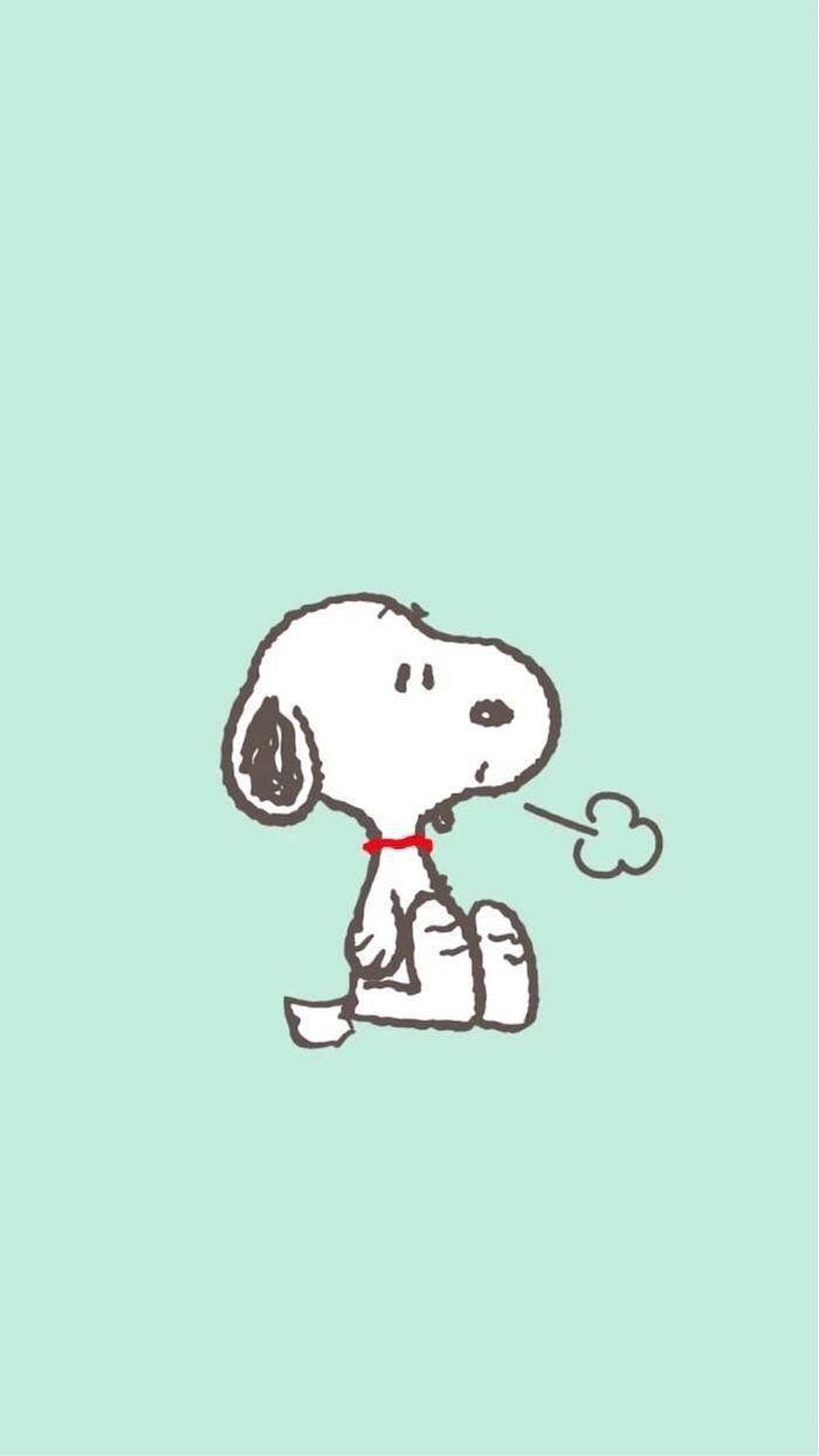 Snoopy high resolution background HD wallpapers | Pxfuel