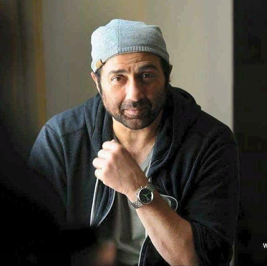 Sunny Deol , And HD wallpaper
