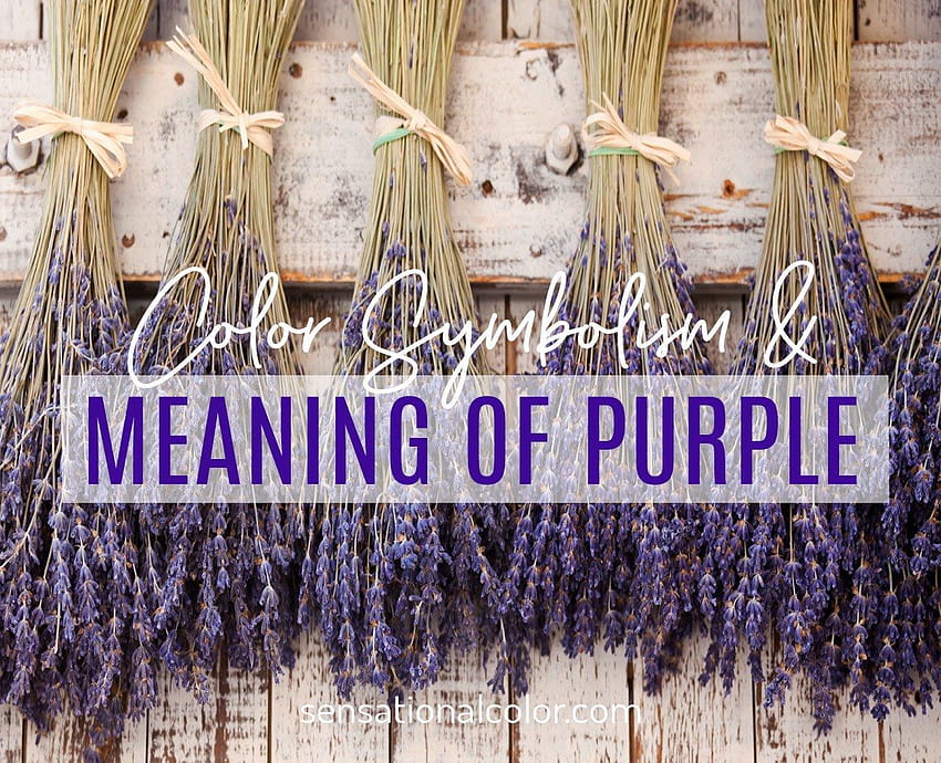 Meaning Of Purple: Color Psychology And Symbolism, creative floral girl purple HD wallpaper