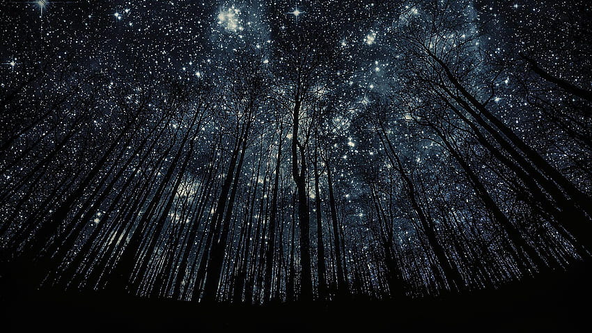 หน้าจอไวด์สกรีนคุณสูงบนท้องฟ้ายามค่ำคืนที่เต็มไปด้วยดวงดาวที่ยอดเยี่ยม วอลล์เปเปอร์ HD