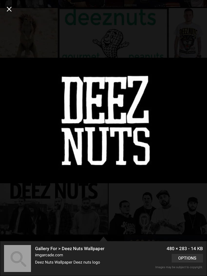 Deez Nuts Stay True HD phone wallpaper