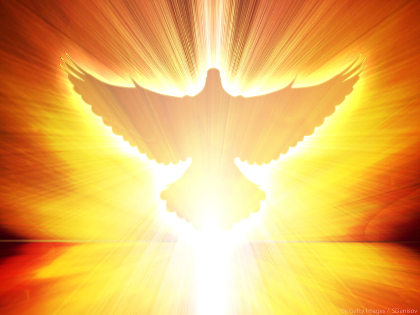 Ven, Espíritu Santo, a nuestro corazón!, espiritu santo HD wallpaper