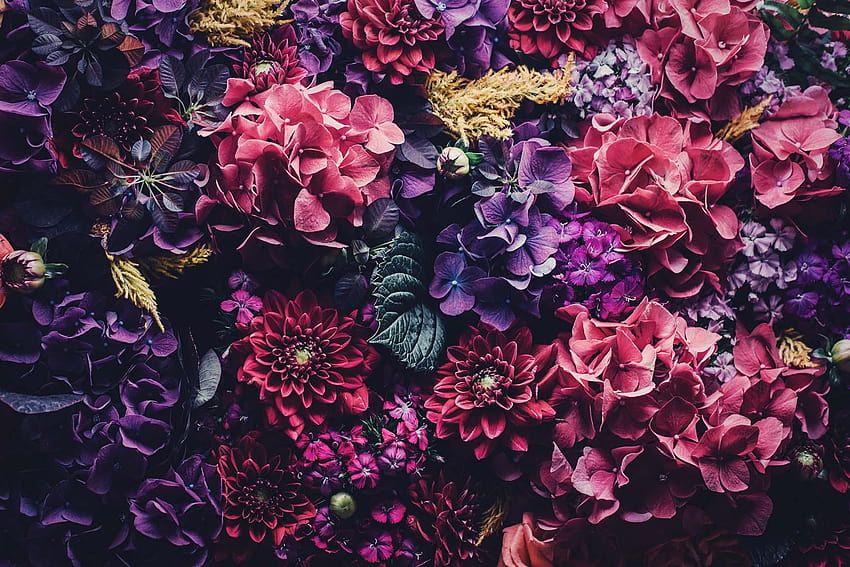 5 Floral iPhone To Celebrate 6 Pinterest Followers HD wallpaper | Pxfuel