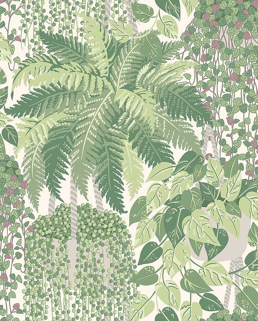 Fern by Cole & Son, green fern leaf HD phone wallpaper
