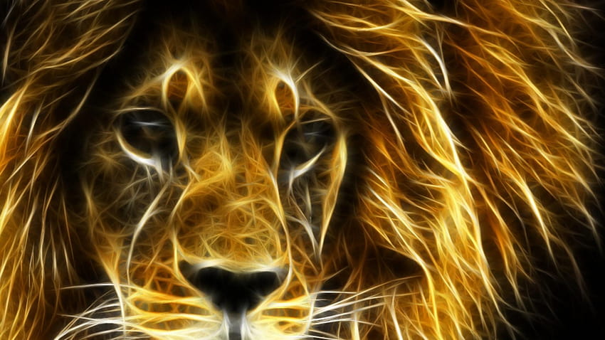 Lion of judah Gallery HD wallpaper
