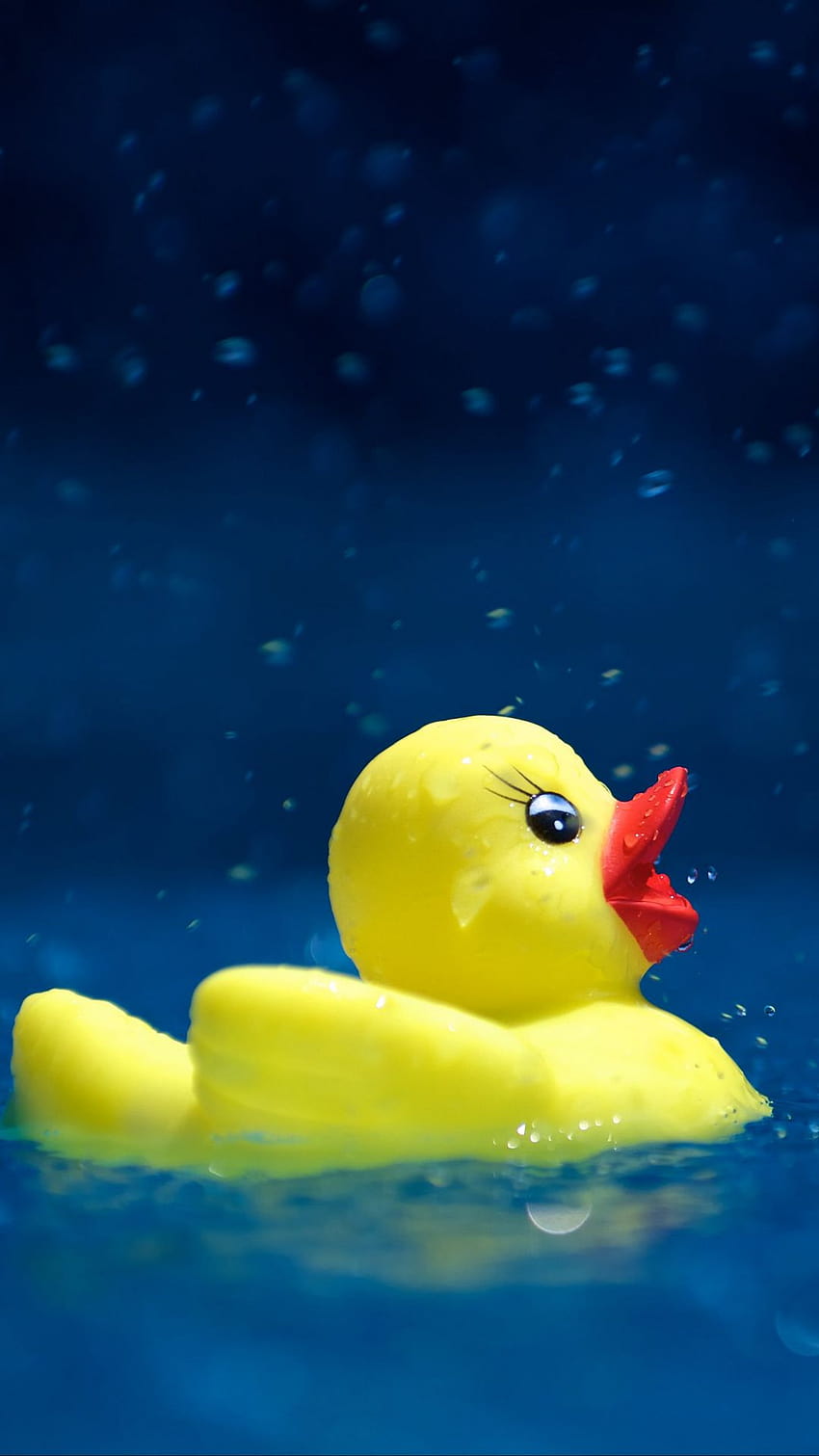 Yellow Duck Toy HD phone wallpaper | Pxfuel