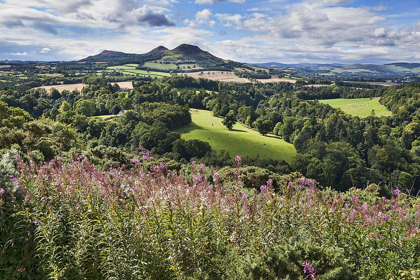 英国で最も美しい 16 の自然の特徴、英国の農場、英国の田園地帯 高画質の壁紙