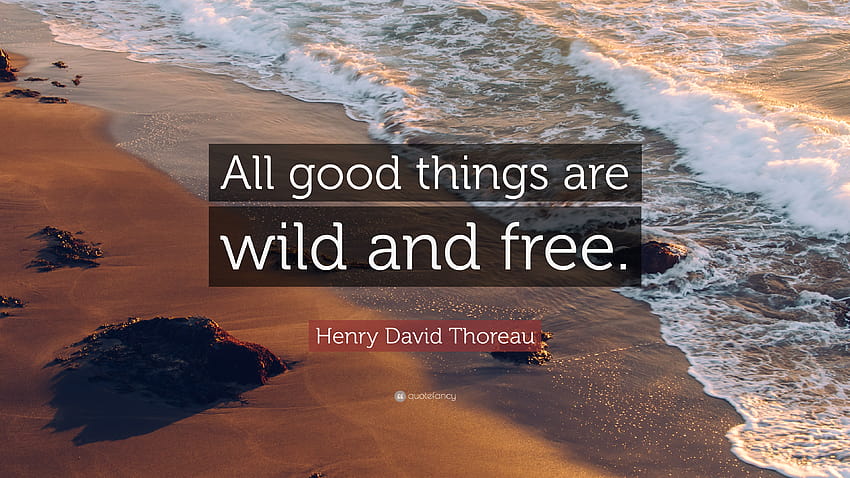 Henry David Thoreau Quote: “All good things are wild and .” HD wallpaper