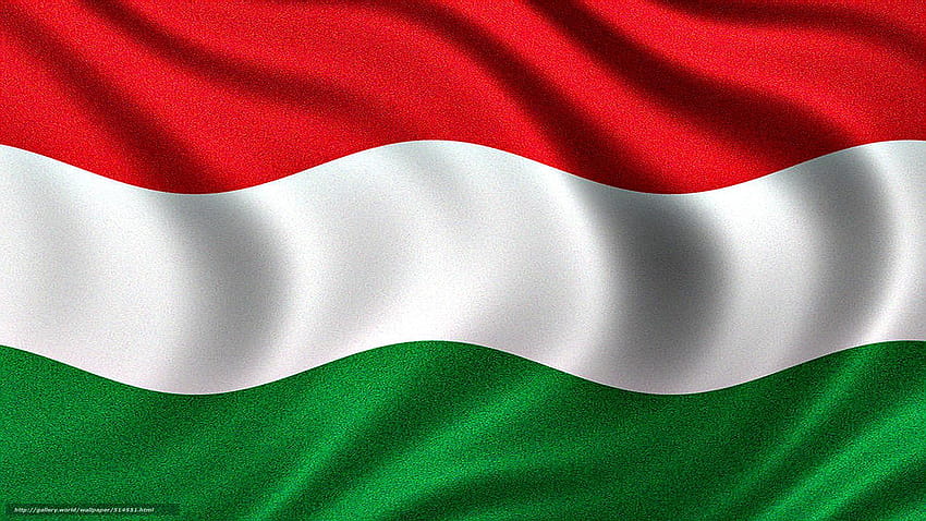Flag of Hungary, Hungarian flag, Hungary flag HD wallpaper