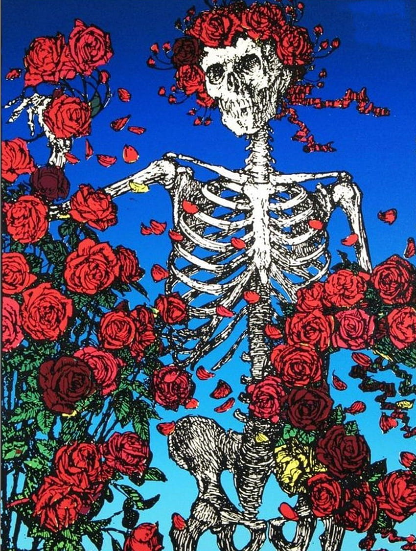 Grateful Dead Skull And Roses, скелетна роза HD тапет за телефон