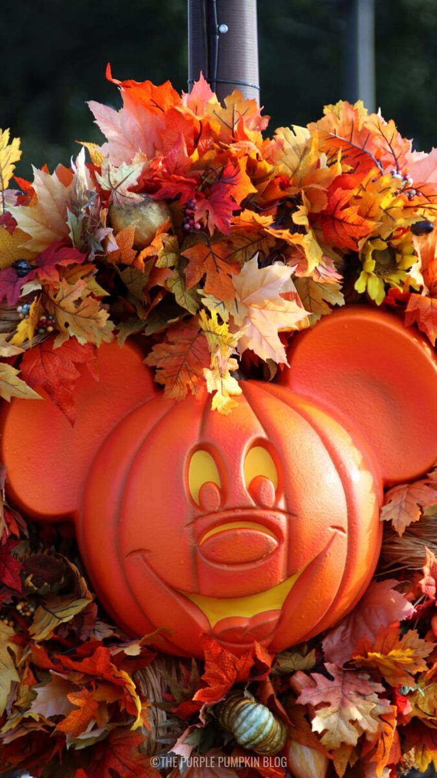 Disney Halloween Pumpkins Phone, autumn wreaths HD phone wallpaper