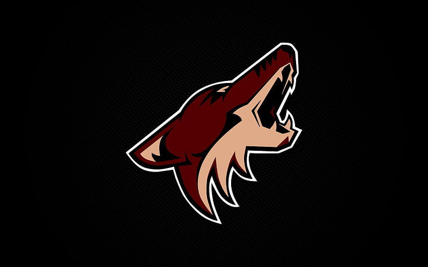 Phoenix Coyotes, arizona coyotes HD wallpaper | Pxfuel