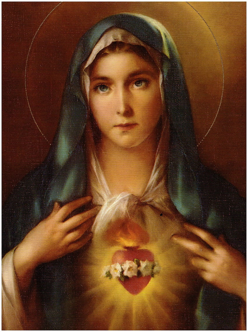 The Roman Catholic Diocese of Columbus > Offices > Dept. for, immaculate heart of mary HD phone wallpaper