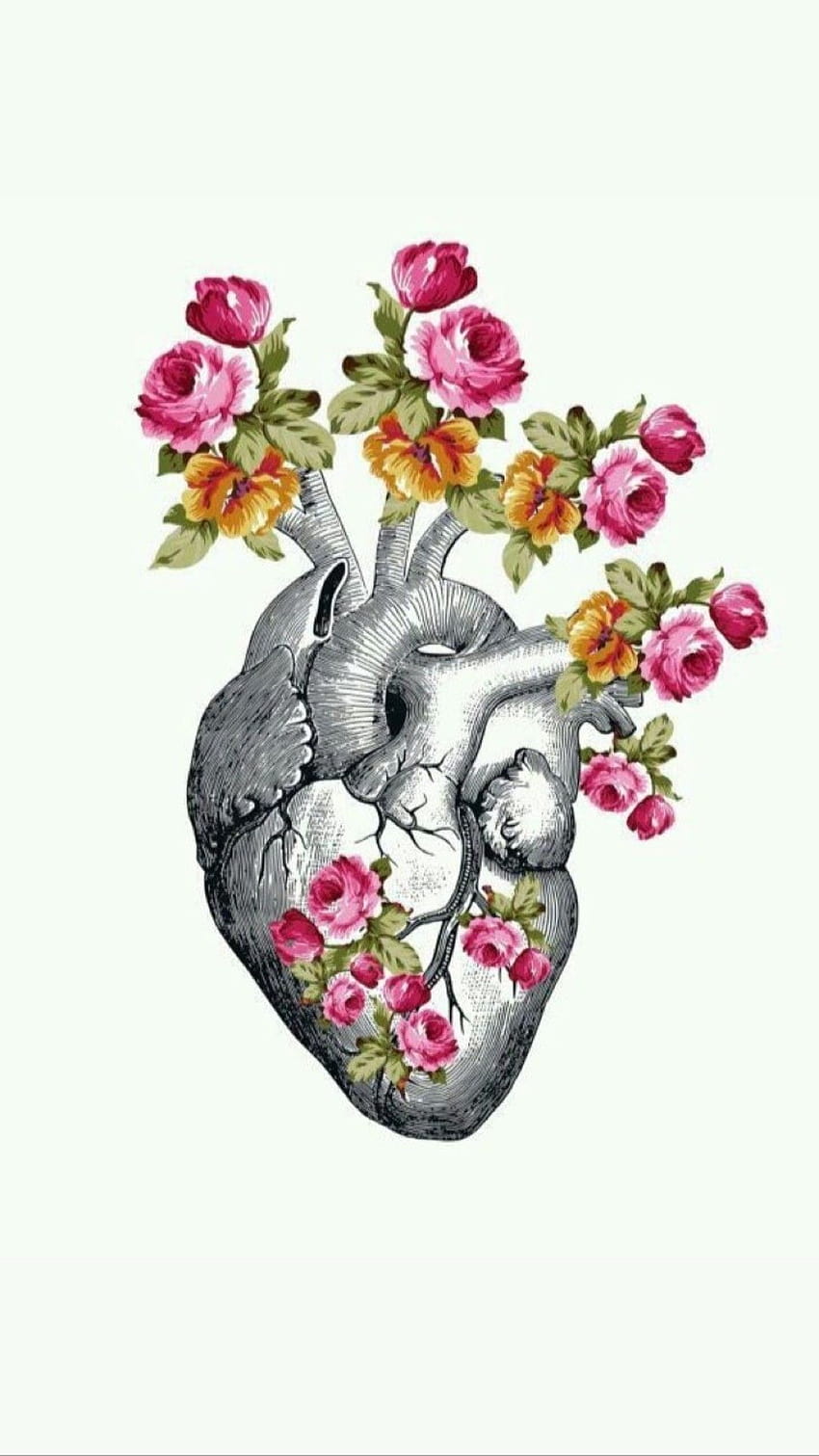 Aesthetic Health posted by Zoey Johnson, medical heart HD phone wallpaper
