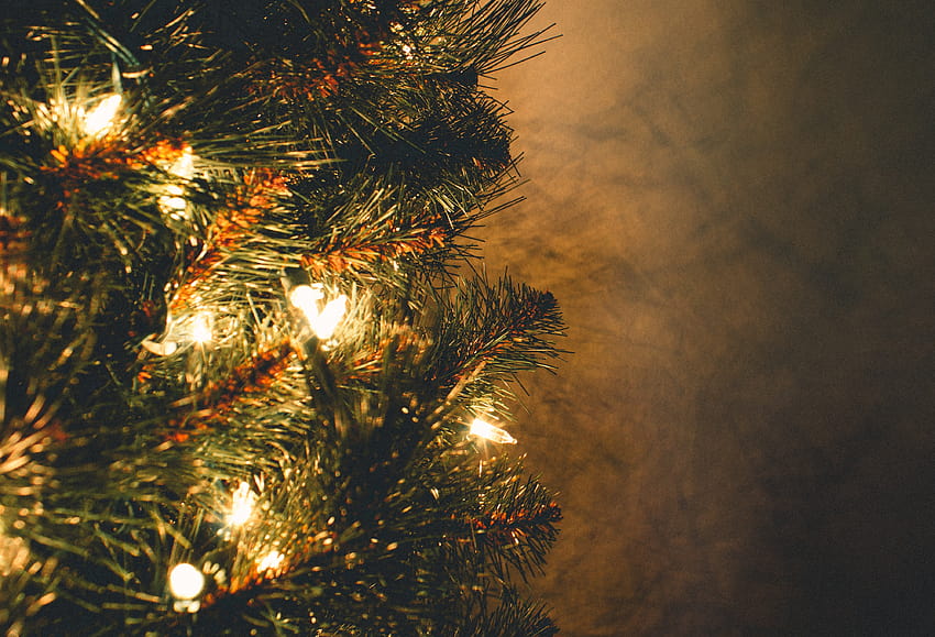 : arbre de Noël, ciel, sapin, Famille des pins, éclairage, décoration de Noël, nuit, épicéa, branche, conifère, lumière du soleil, à feuilles persistantes, décoration de Noël, lumières de Noël, brindille, soir, ordinateur, obscurité, fête, un événement, vacances 3993x2722, pin et les lumières de Noël Fond d'écran HD