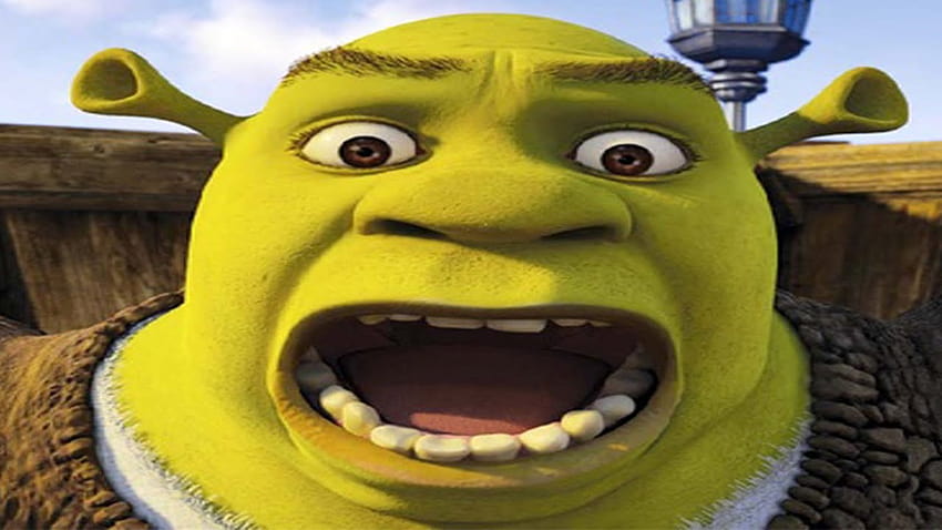 Shrek Powodzenia mem, zabawny shrek Tapeta HD