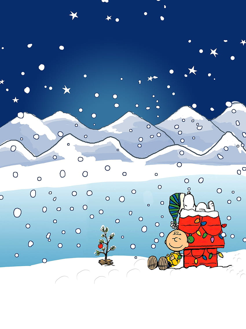 mobile phone and lock screen !, snoopy winter HD phone wallpaper