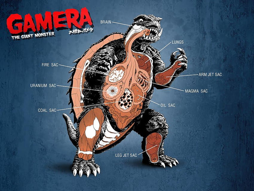 Gamera DVD Salı!, Godzilla'yı ateşle HD duvar kağıdı