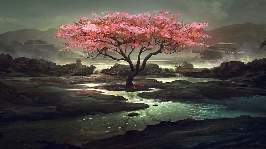 24 Anime Cherry Blossom, red anime blossom tree HD wallpaper