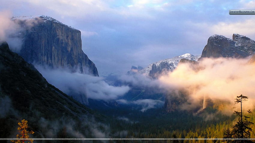 La luce pomeridiana cade sulla valle Yosemite National Park, pomeriggio primaverile Sfondo HD