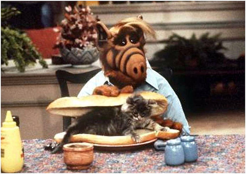 7 cosas que no sabías sobre Alf que harían nuestro programa de televisión favorito, alf fondo de pantalla