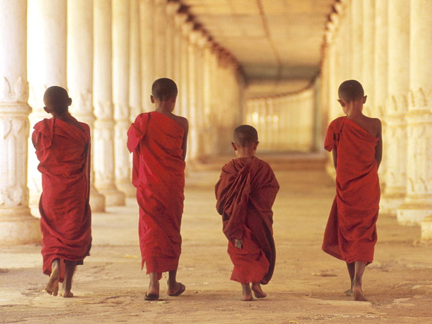 Religion Asians boys Monks Buddhist children HD wallpaper