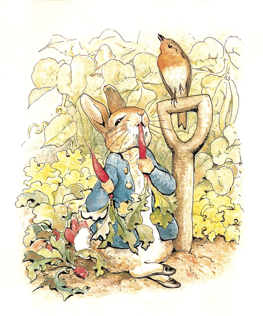 Beatrix Potter Peter Rabbit fondo de pantalla del teléfono