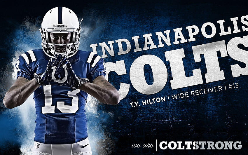 Colts HD wallpaper