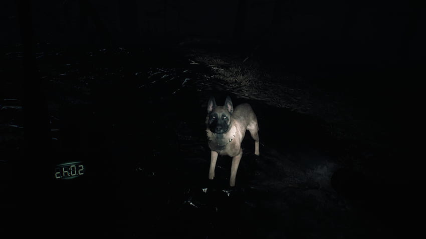 Bullet; My Blair Witch hunting sidekick : gaming, blair witch game HD wallpaper