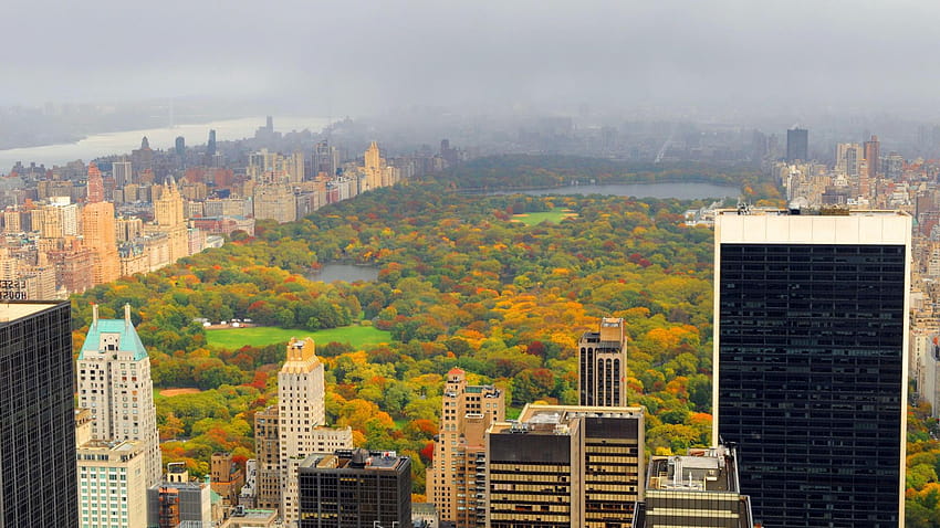 Central Park NYC 22023 1920x1080 px ~ WallSource, central park view HD wallpaper