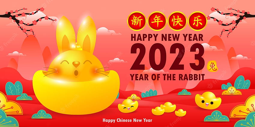 Chinese New Year 2023, lunar new year 2023 HD wallpaper