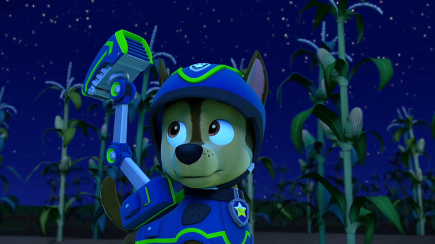 Best 4 Chase Backgrounds on Hip, paw patrol chase HD wallpaper