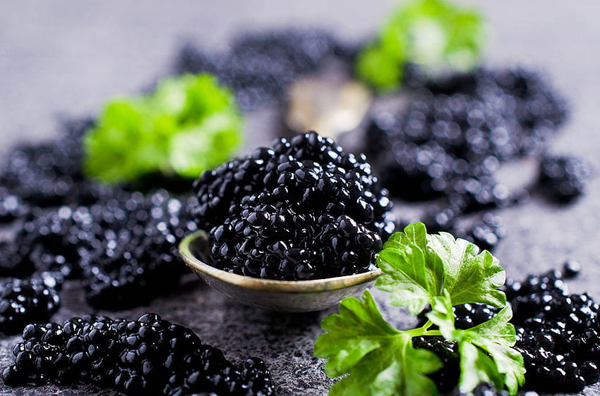 Black Caviar Food Closeup HD wallpaper