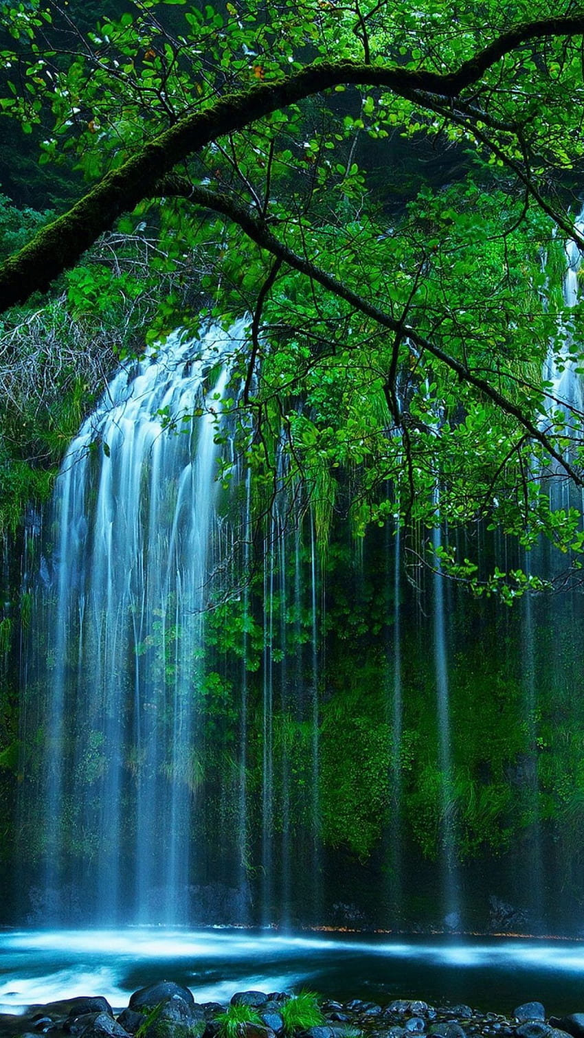 ниагарски водопад, растителност, водно тяло, природен пейзаж, водопад, воден пейзаж HD тапет за телефон