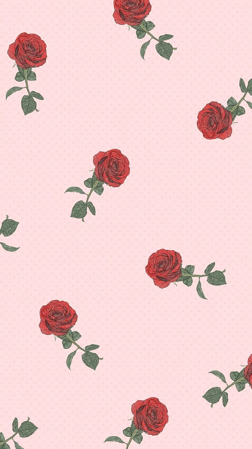 Cute red rose aesthetic HD wallpapers | Pxfuel