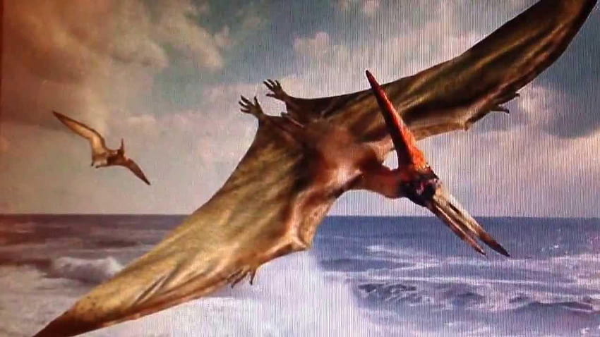 Pterodactyl was not only the flying dinosaur, There were HD wallpaper