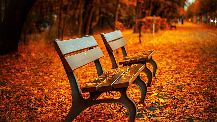 Tagged With AUTUMN, cb background HD wallpaper