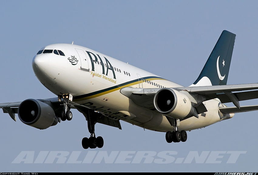 Thread di Pakistan International Airlines, compagnie aeree internazionali Sfondo HD