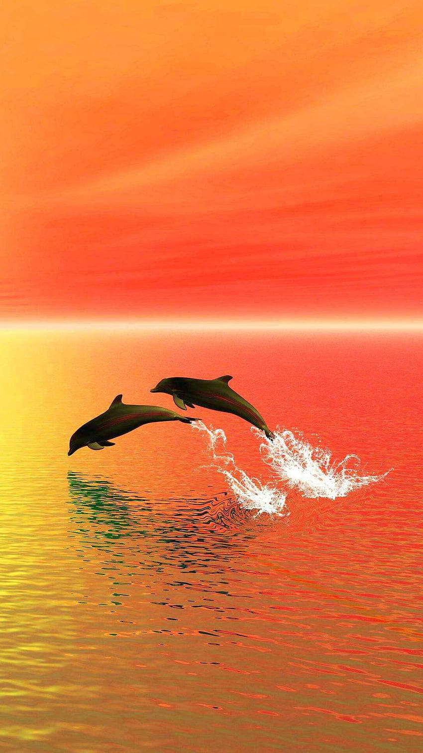 Sunset Dolphin, matahari terbenam dengan lumba-lumba wallpaper ponsel HD