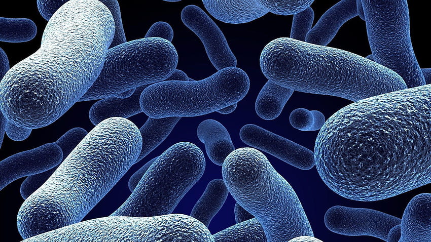 Mikroorganisme. Android untuk, mikrobiologi Wallpaper HD