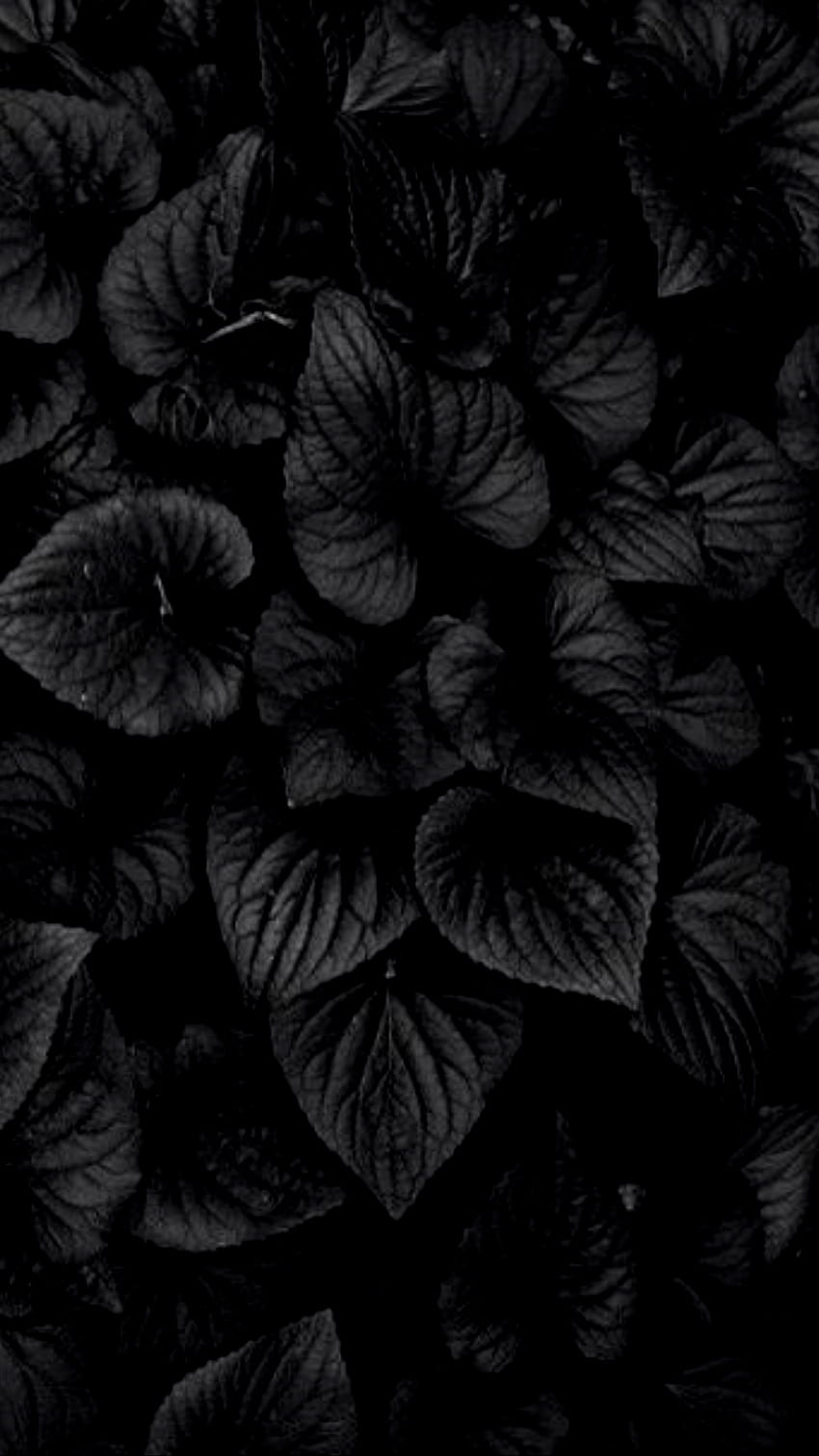 All Black, android black HD phone wallpaper