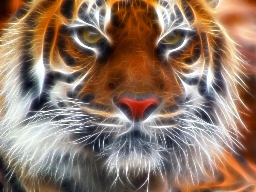 Amur Tigers Amur Tiger Fractal e fundos, harimau papel de parede HD