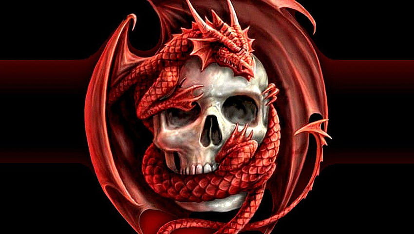HQ Definition Evil Skulls, by Kojo Melby, evil dragon HD wallpaper