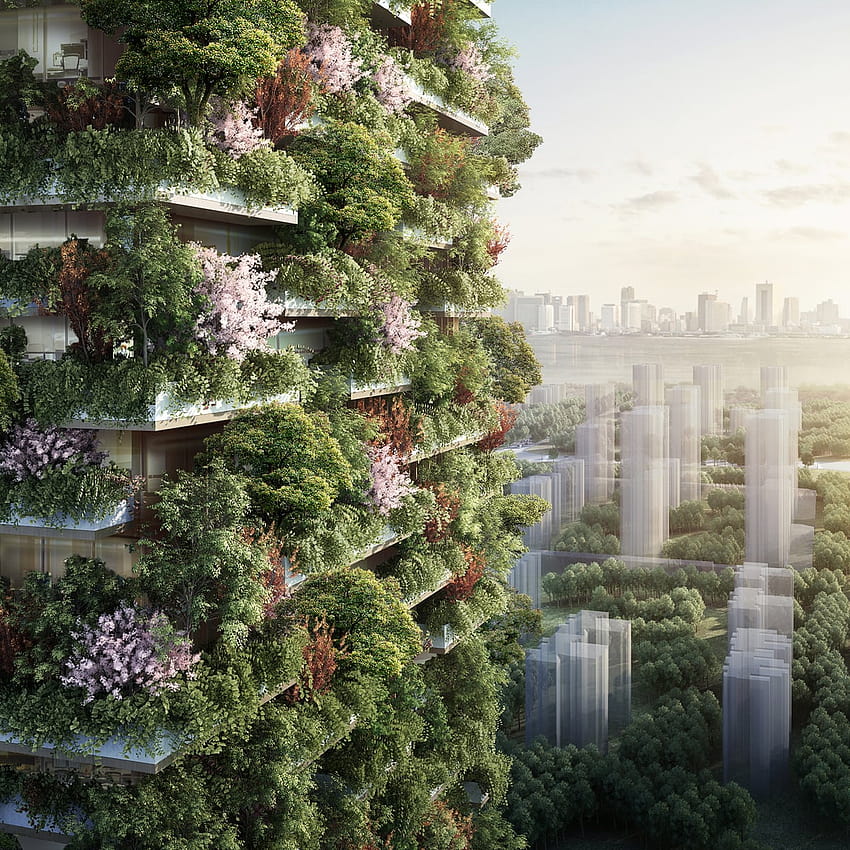 Asian cities set to benefit most from green growth as US retreats HD phone wallpaper