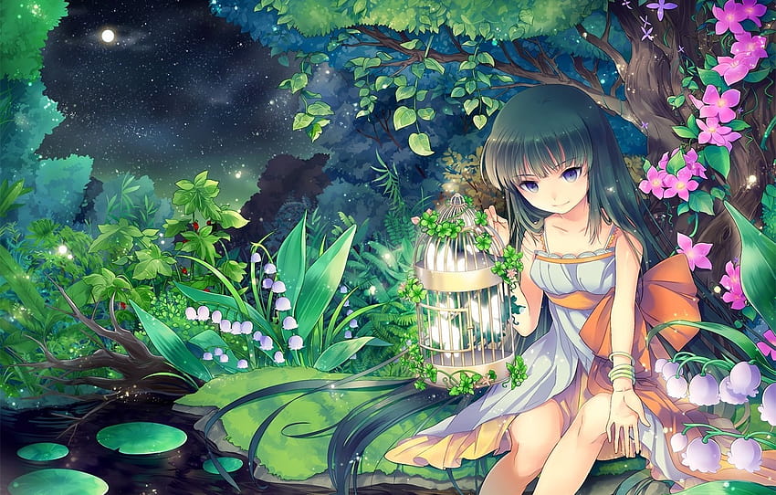 malam, alam, aliran, bulan, bintang, anime, seni, gadis, Lily lembah, bunga sangkar, bagian прочее, streaming anime Wallpaper HD