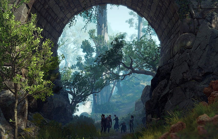 숲, 다리, 사람들, 아치, Baldur 's Gate III, 발더스 게이트 HD 월페이퍼