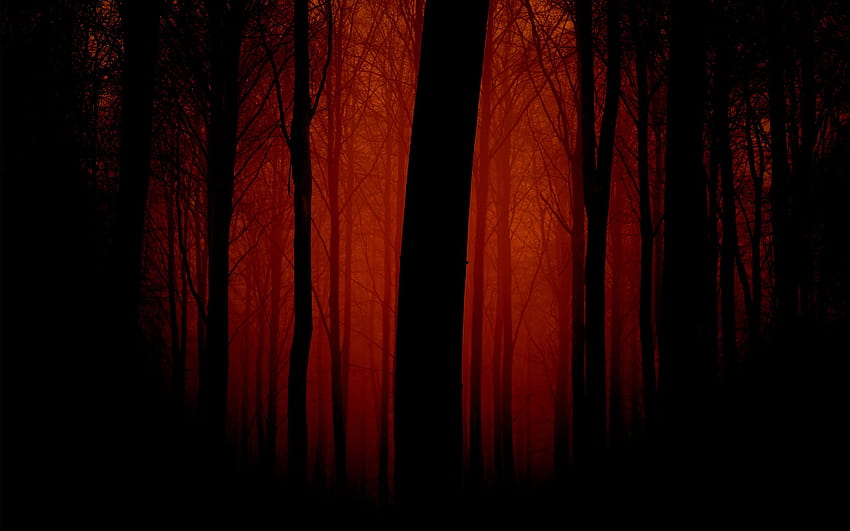 Bosque aterrador, bosque rojo fondo de pantalla