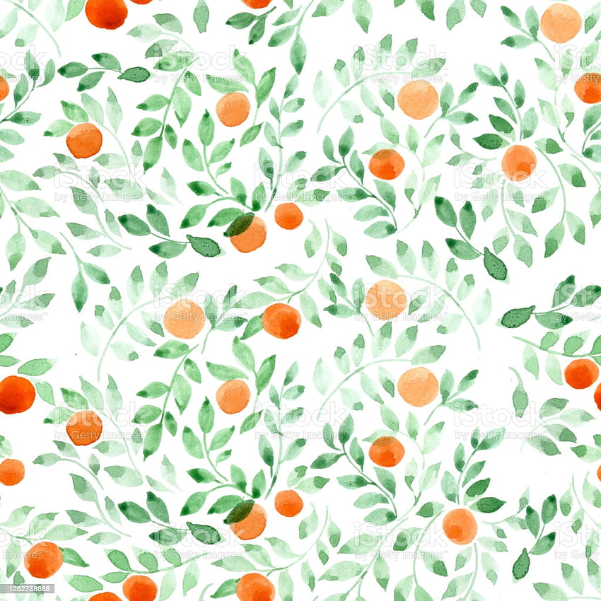 Акварелен безшевен модел Абстрактни зелени листа и плодове от портокалова мандарина върху бял фон Винтидж фонове в стил Прованс Ботанически орнаментен дизайн за илюстрация на склад от плат, зелен оранжев модел HD тапет за телефон