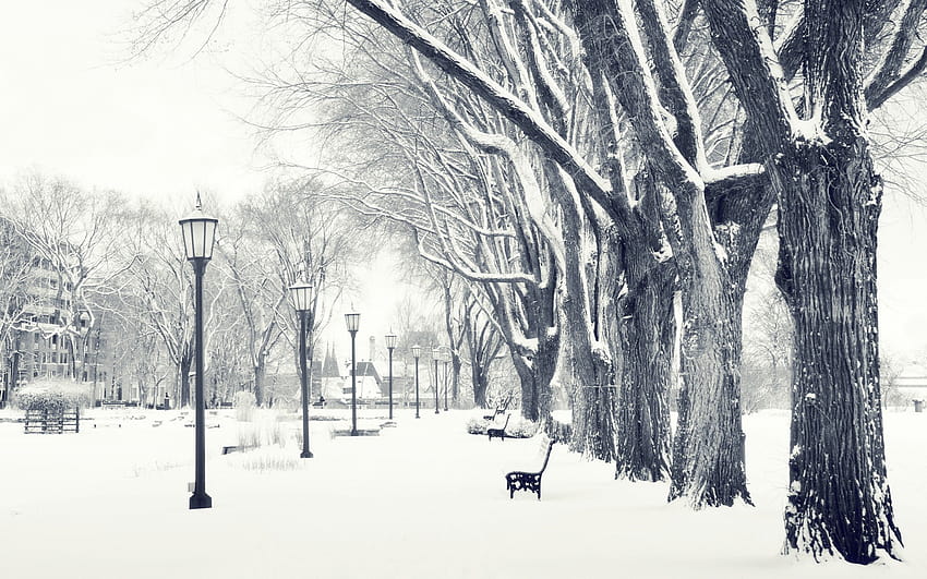 : trees, landscape, drawing, city, nature, urban, park, snow, branch, ice, frost, bench, zing, tree, weather, season, blizzard, sketch, atmospheric phenomenon, black and white, monochrome graphy, woody plant, winter storm 1920x1200, snowy city HD wallpaper