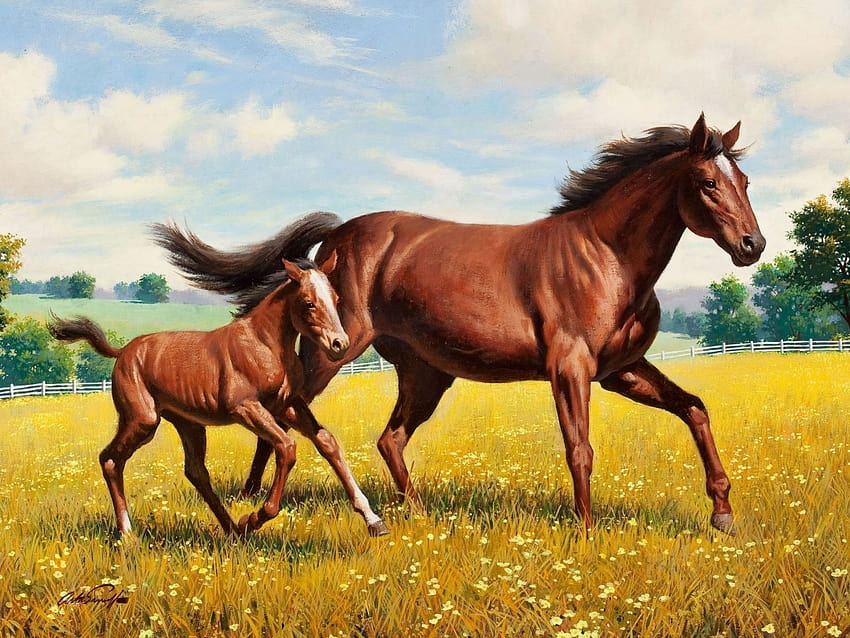 Źrebak Koń Łąka Biegnąca trawa Zwierzęta: 13, brązowe źrebięta Tapeta HD